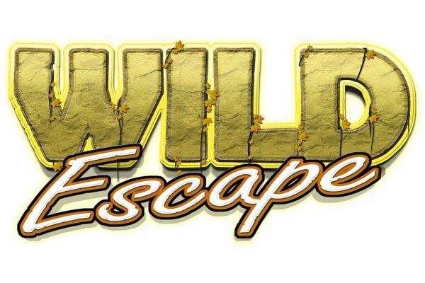 Lock It Link Wild Escape Lock It Link Wild Escape
