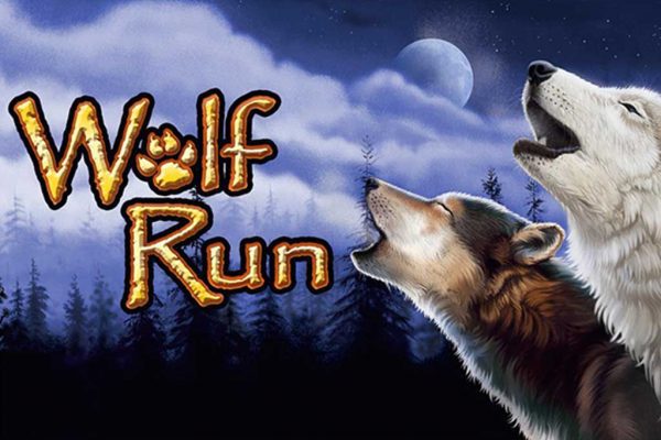 Wolf Run Wolf Run